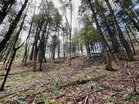 322 Coffin Road St. Johnsbury VT 05819