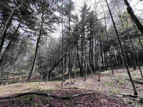 322 Coffin Road St. Johnsbury VT 05819