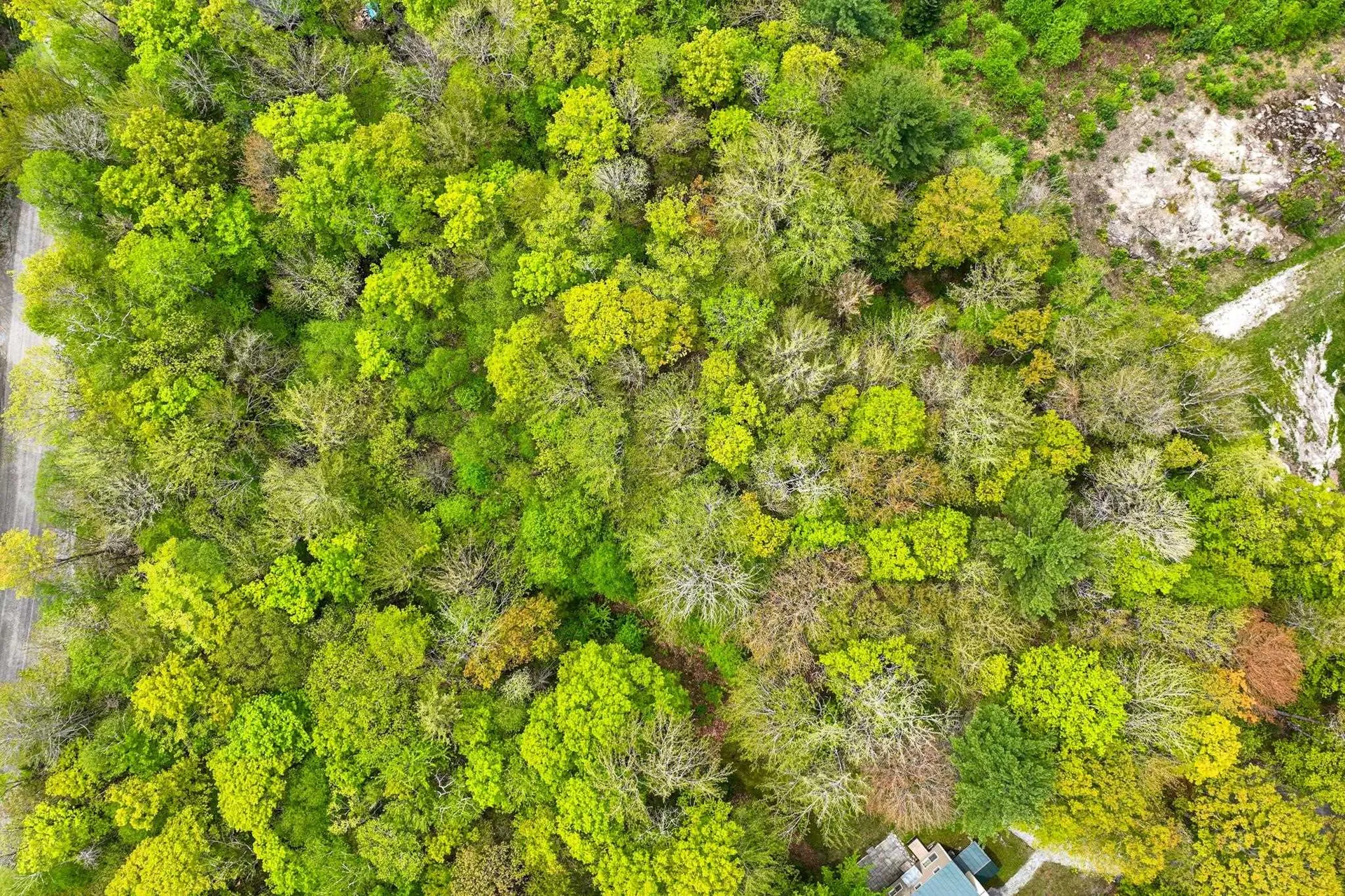 0 Doubleday Hill Road Killington VT 05751