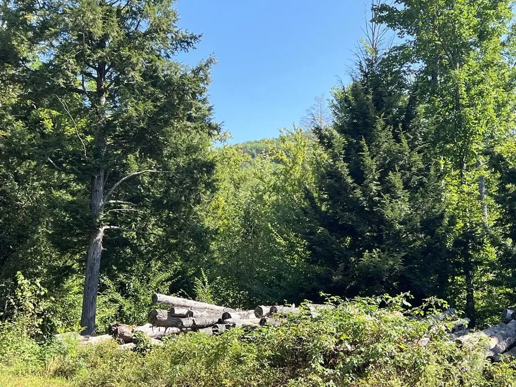 22 Plaisted Road Campton NH 03223