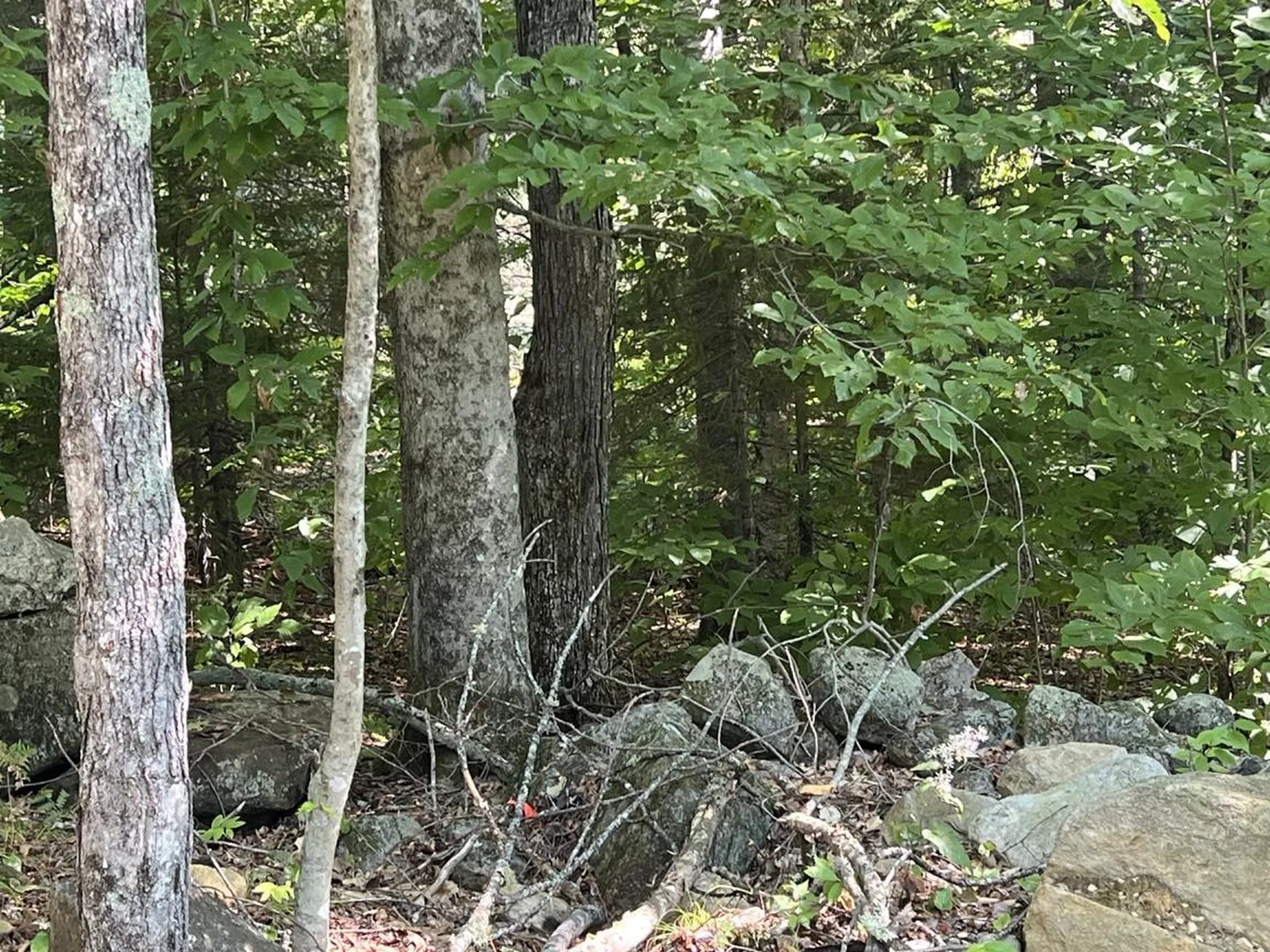 22 Plaisted Road Campton NH 03223