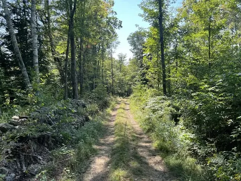 22 Plaisted Road Campton NH 03223