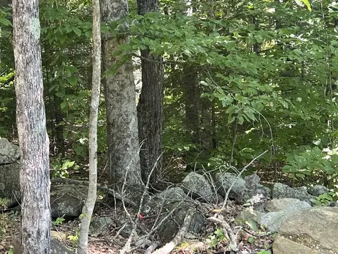 22 Plaisted Road Campton NH 03223