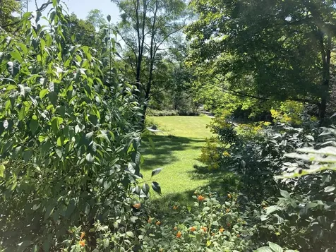 22 Plaisted Road Campton NH 03223