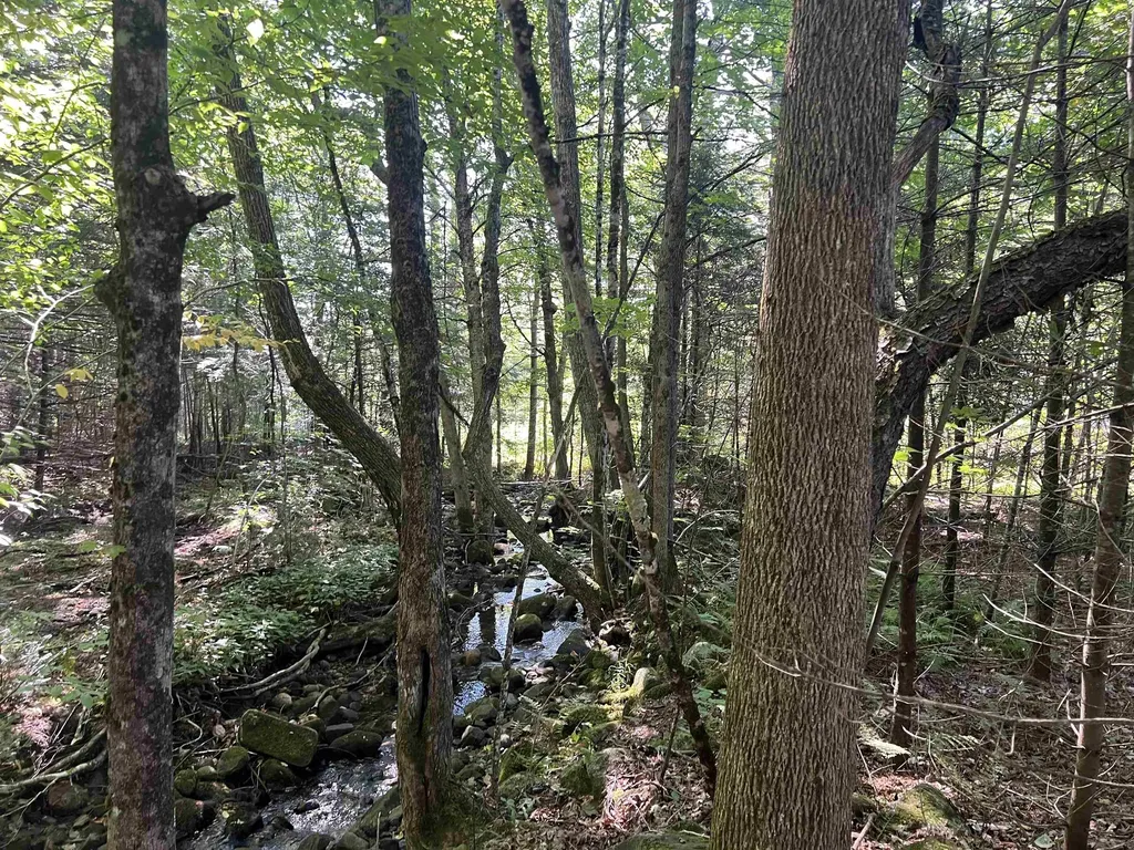 4 Plaisted Road Campton NH 03223