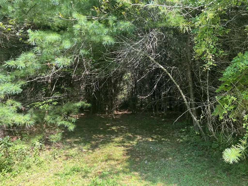 4 Plaisted Road Campton NH 03223