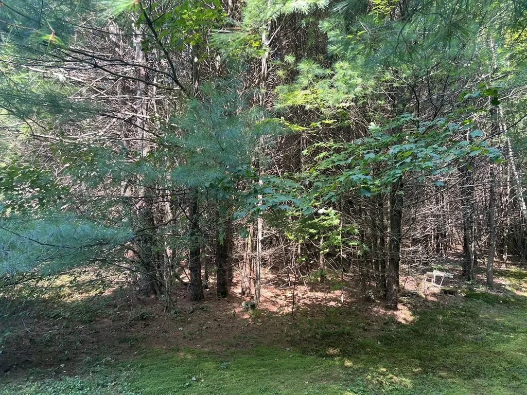 4 Plaisted Road Campton NH 03223