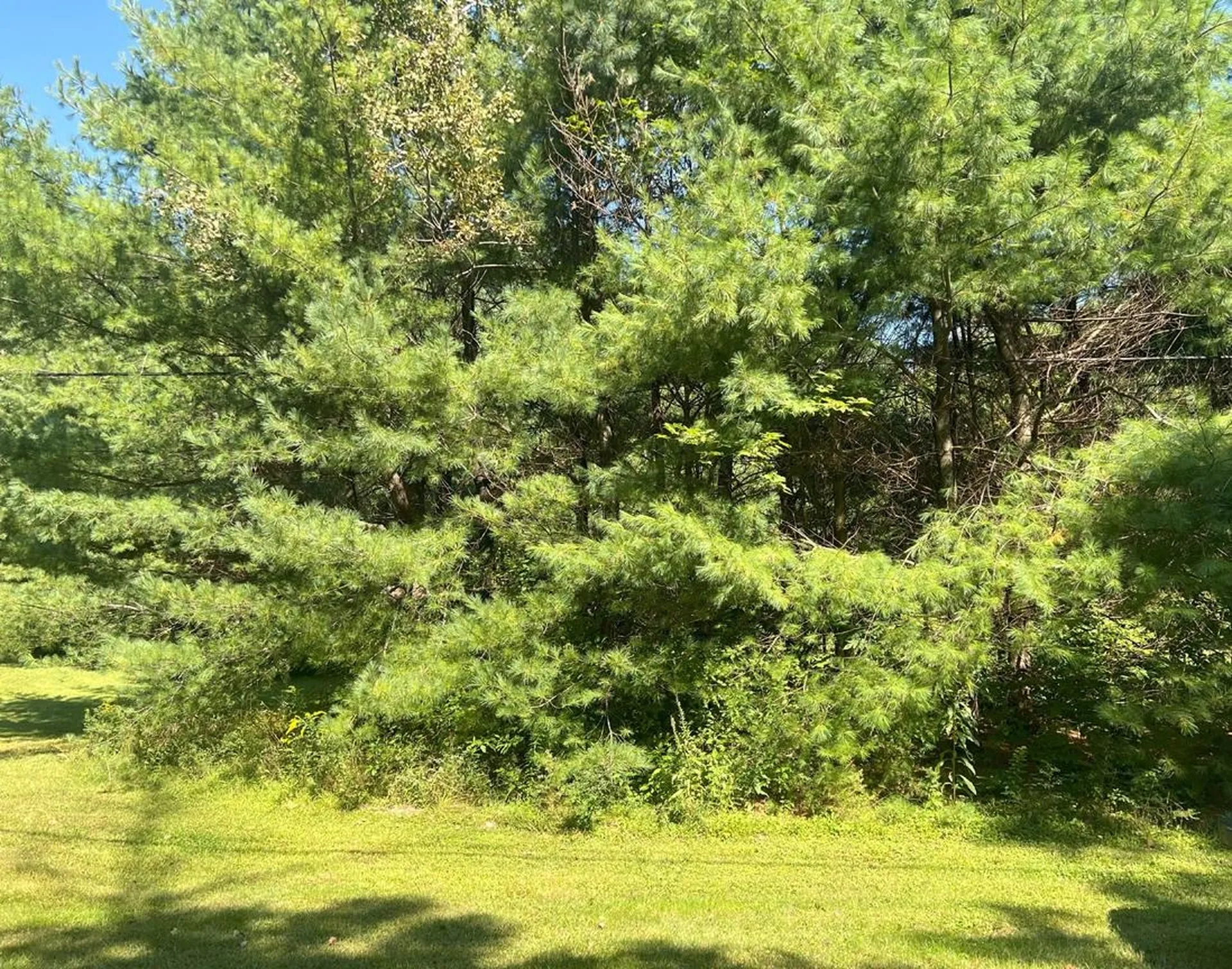 4 Plaisted Road Campton NH 03223