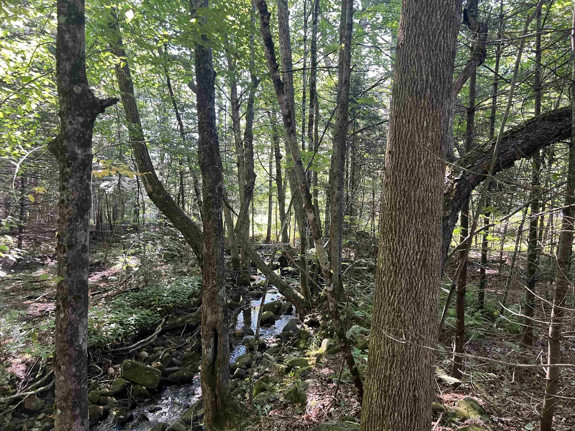 4 Plaisted Road Campton NH 03223