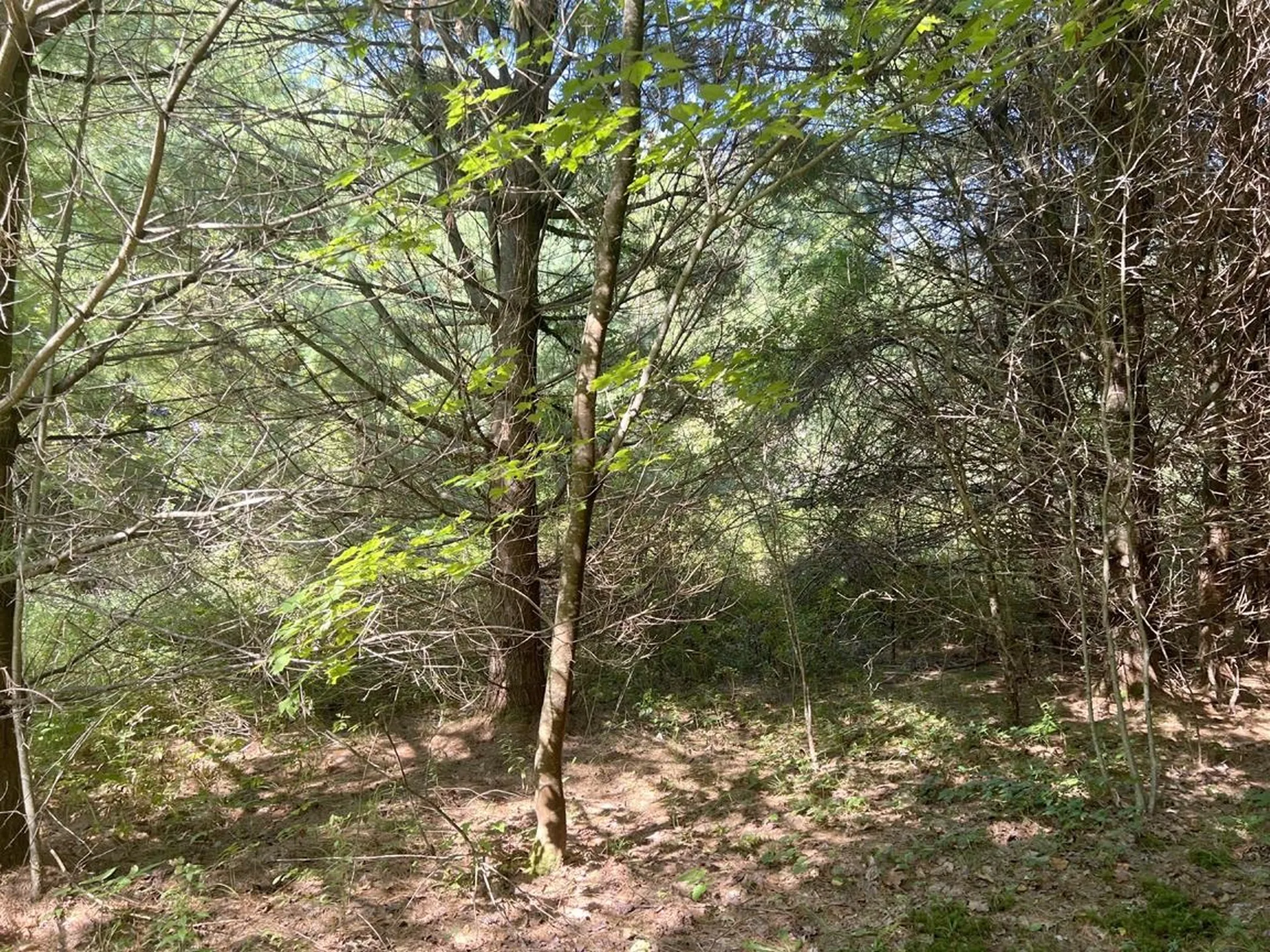 4 Plaisted Road Campton NH 03223