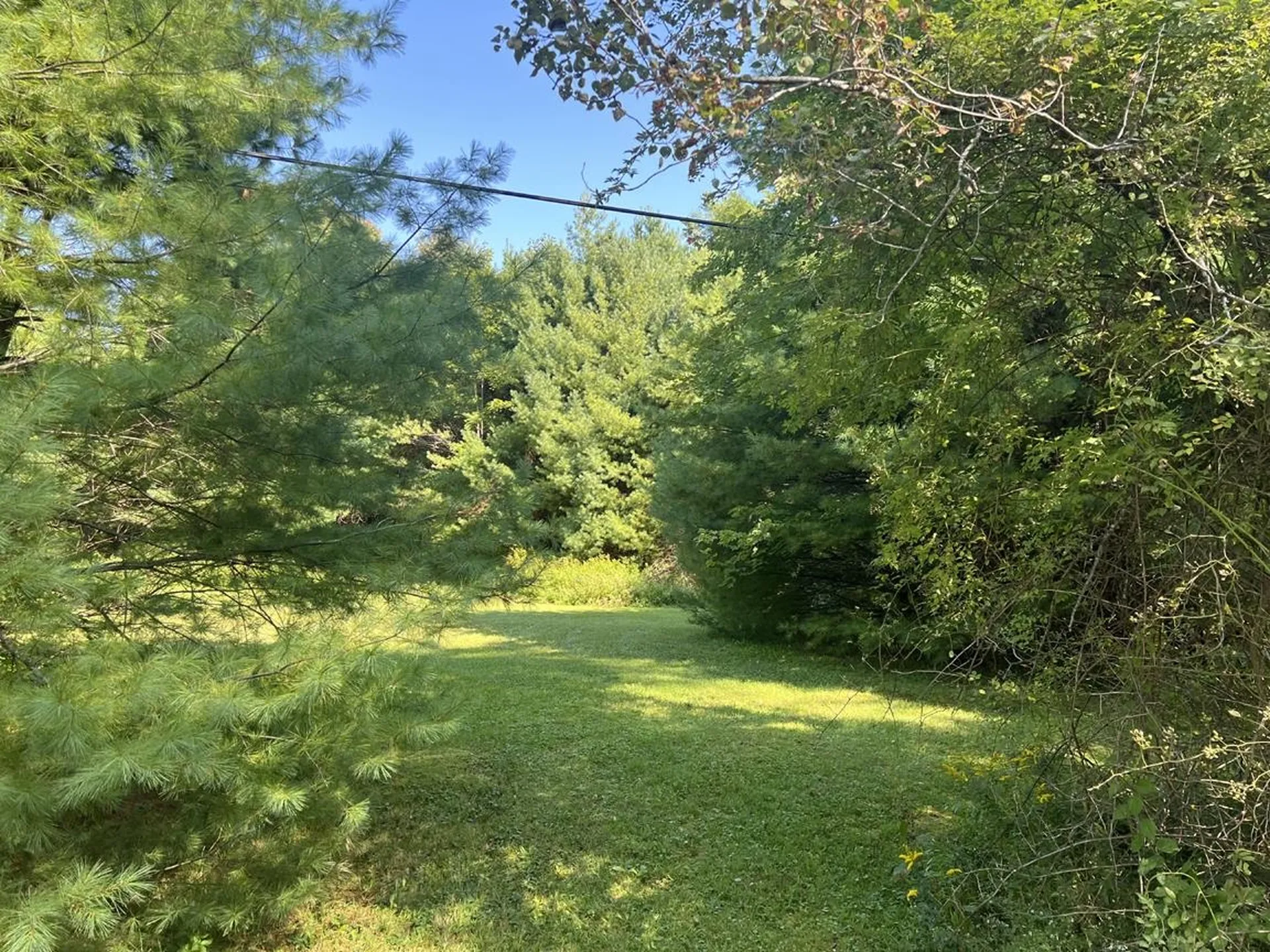 4 Plaisted Road Campton NH 03223