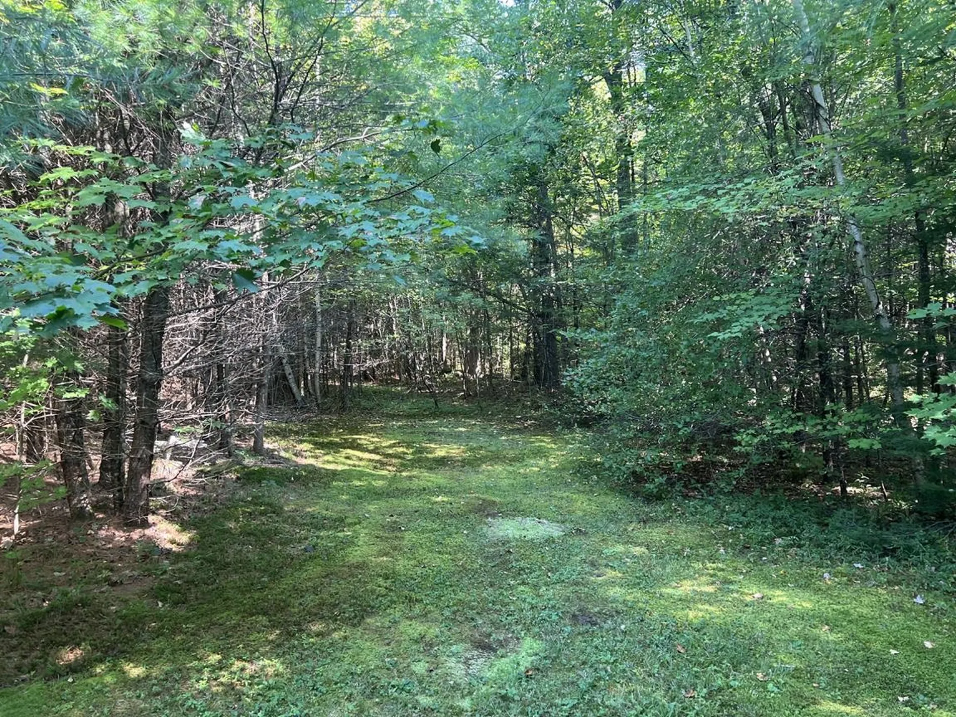 4 Plaisted Road Campton NH 03223