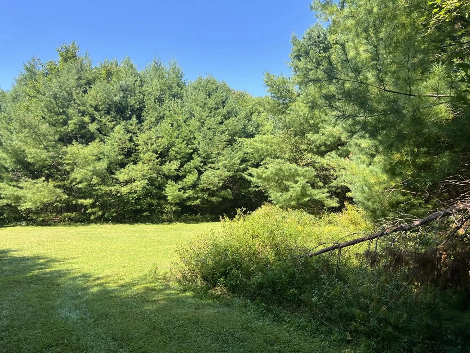 4 Plaisted Road Campton NH 03223