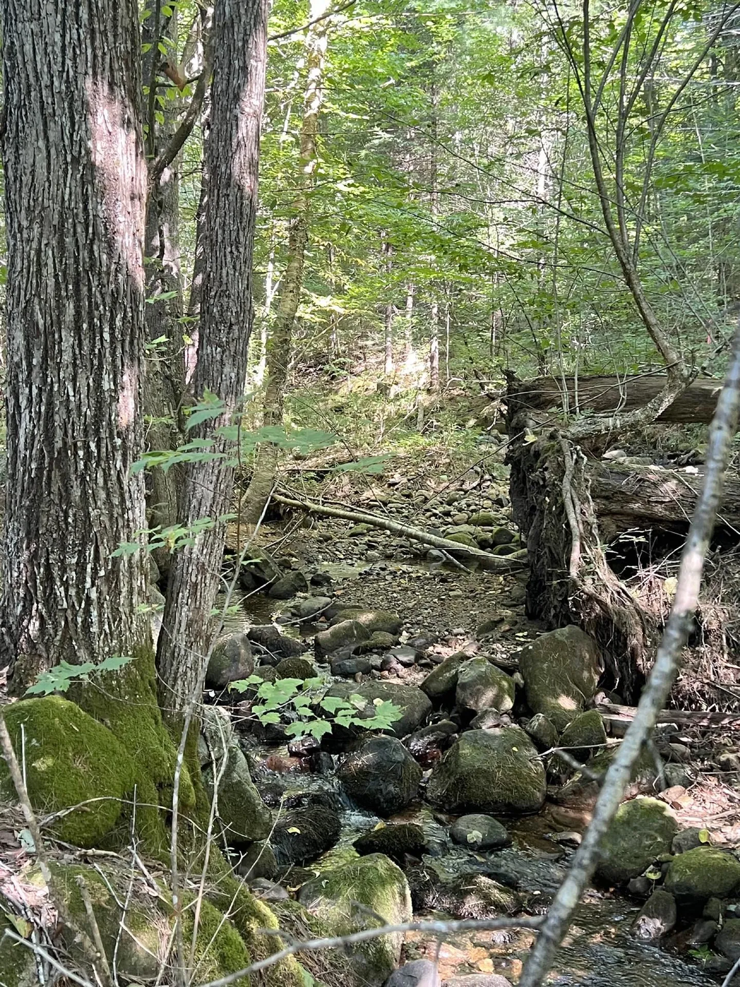 4 Plaisted Road Campton NH 03223