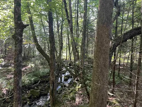 4 Plaisted Road Campton NH 03223