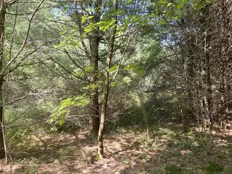 4 Plaisted Road Campton NH 03223