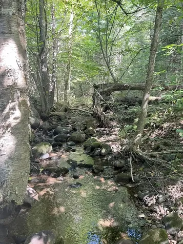 4 Plaisted Road Campton NH 03223