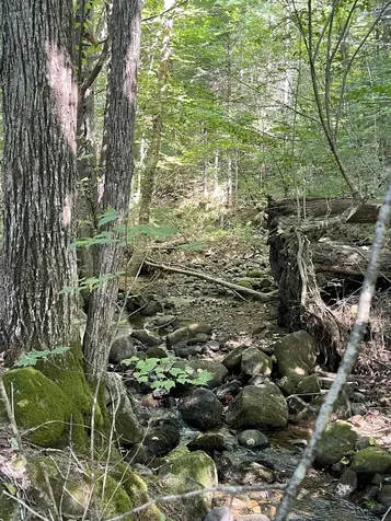 4 Plaisted Road Campton NH 03223