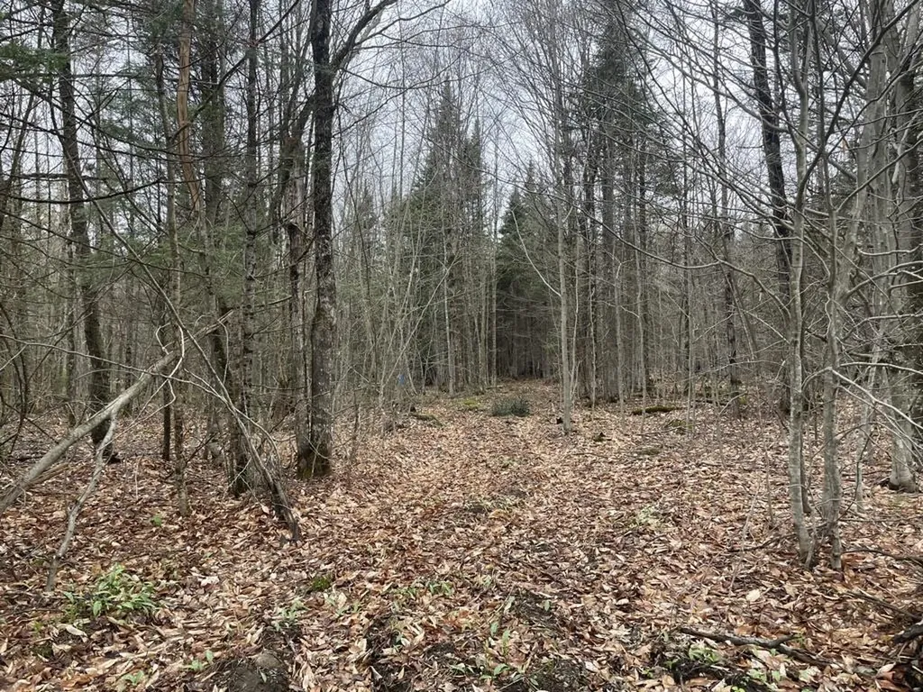 2319 East Hill Road Woodbury VT 05681