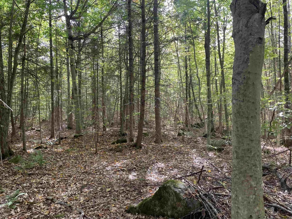 2319 East Hill Road Woodbury VT 05681