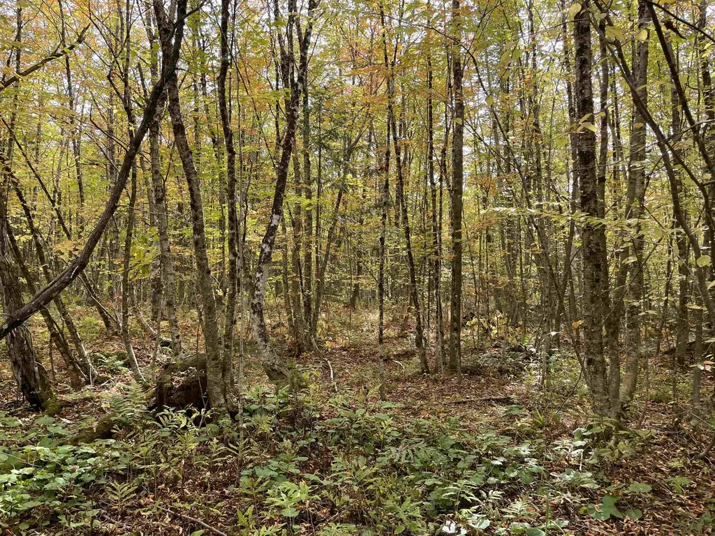 2319 East Hill Road Woodbury VT 05681