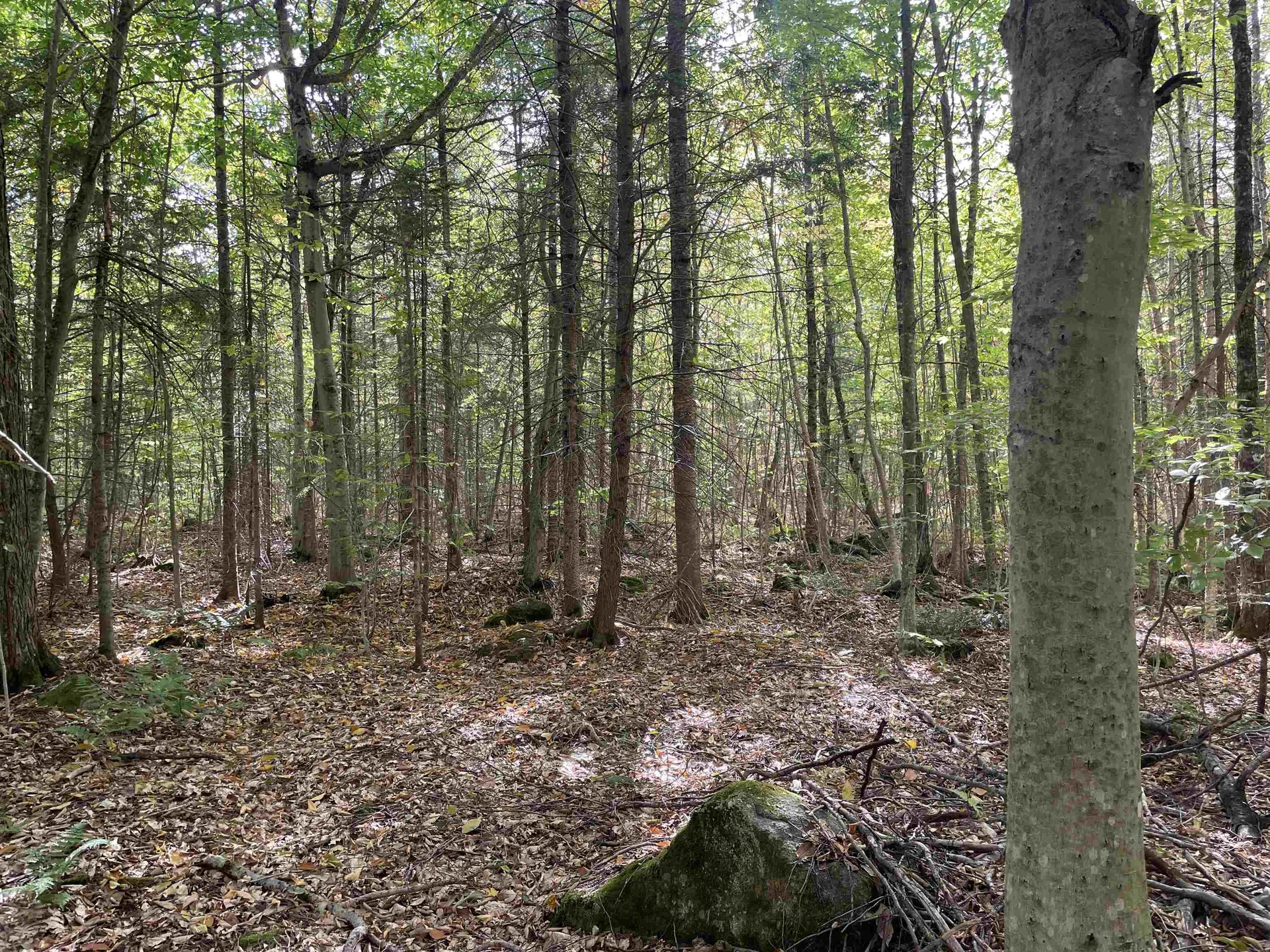 2319 East Hill Road Woodbury VT 05681