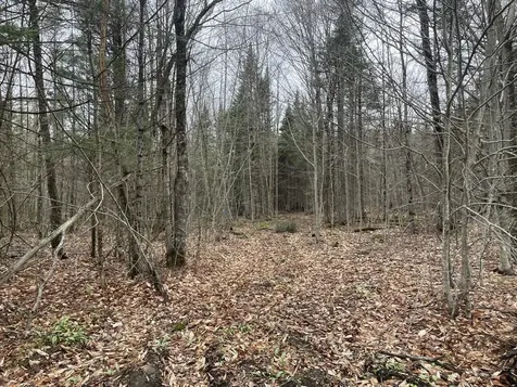 2319 East Hill Road Woodbury VT 05681