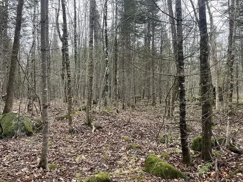2319 East Hill Road Woodbury VT 05681