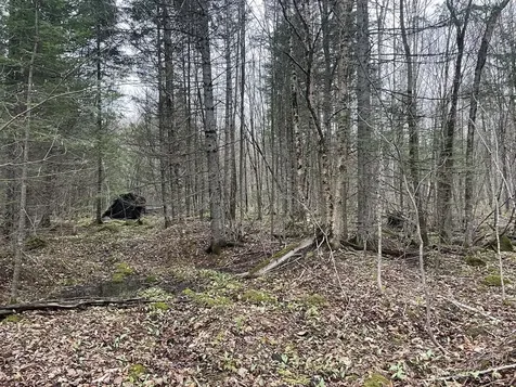 2319 East Hill Road Woodbury VT 05681