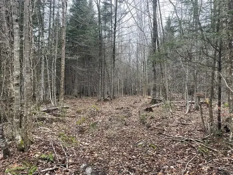 2319 East Hill Road Woodbury VT 05681