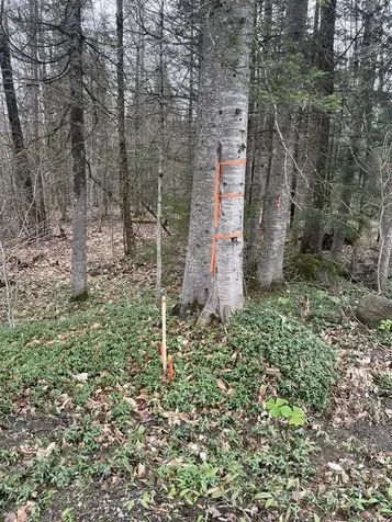 2319 East Hill Road Woodbury VT 05681