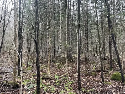 2319 East Hill Road Woodbury VT 05681