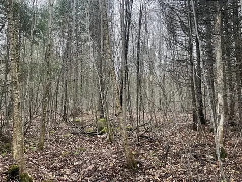 2319 East Hill Road Woodbury VT 05681