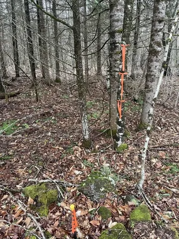 2319 East Hill Road Woodbury VT 05681