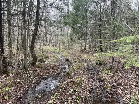 2319 East Hill Road Woodbury VT 05681
