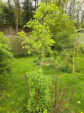 164 Church Avenue Westminster VT 05158
