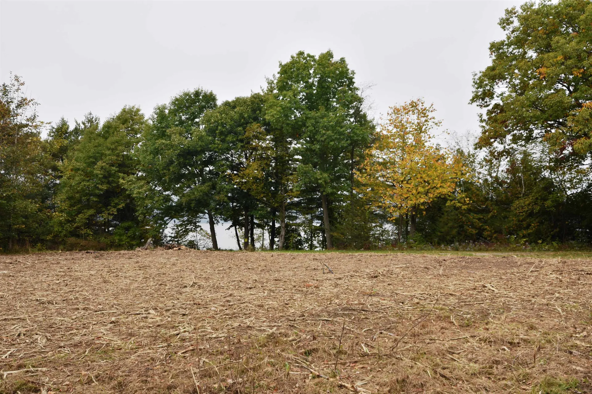 260 Burgey Farm Road Addison VT 05491