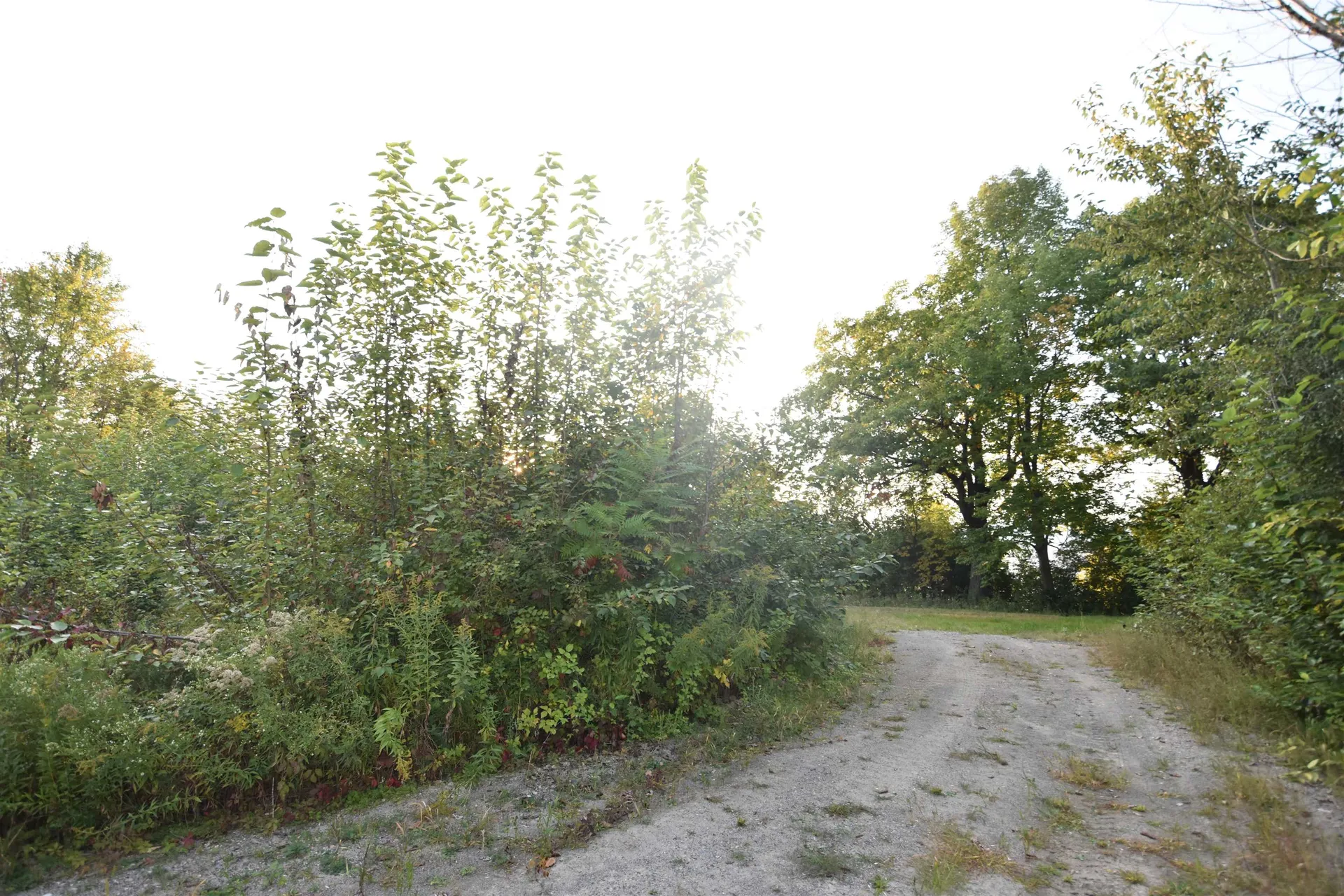 260 Burgey Farm Road Addison VT 05491