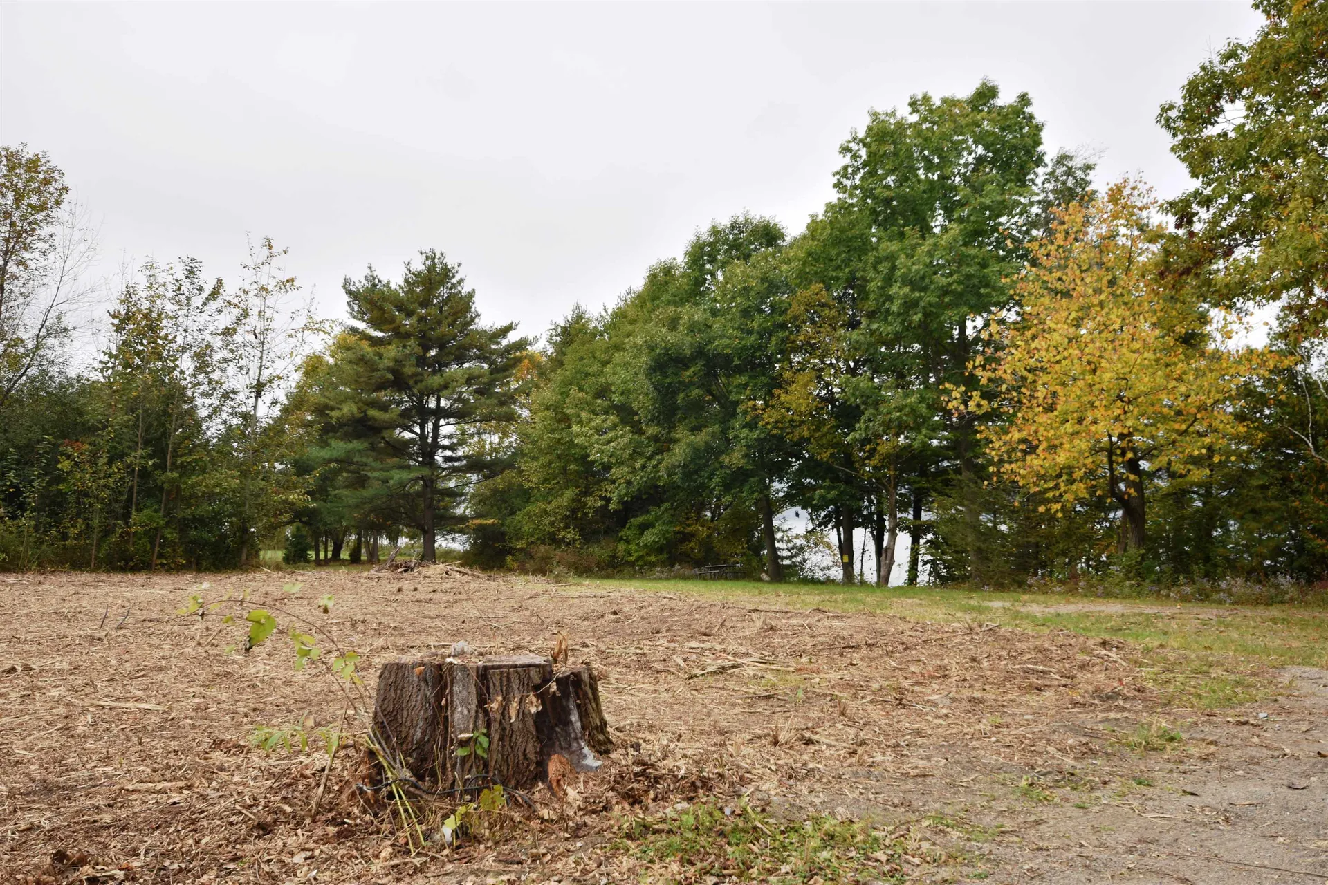 260 Burgey Farm Road Addison VT 05491