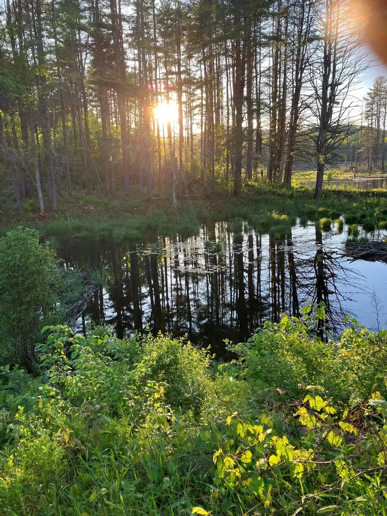 35 Stevens Road Cavendish VT 05142