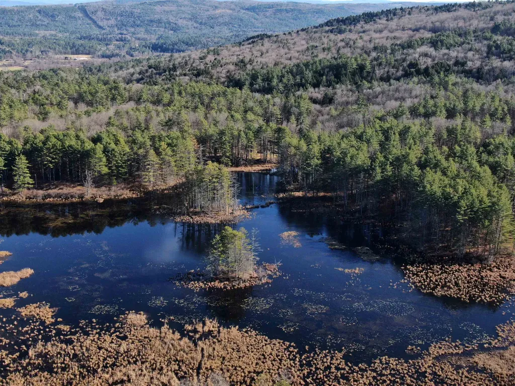 35 Stevens Road Cavendish VT 05142