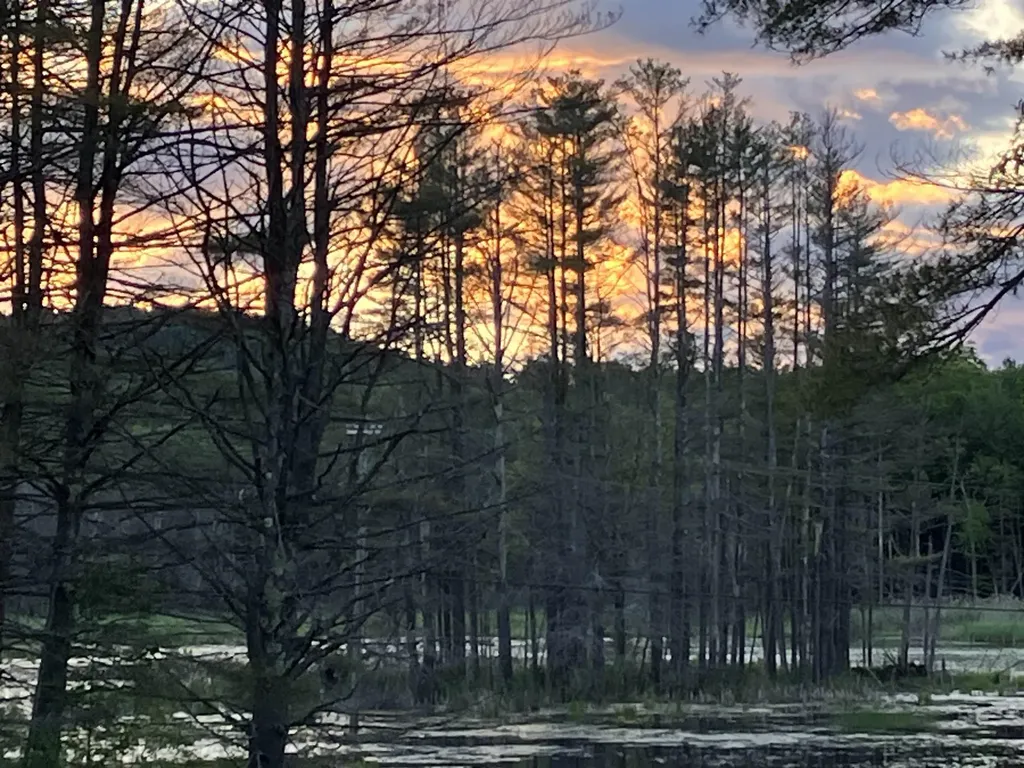 35 Stevens Road Cavendish VT 05142