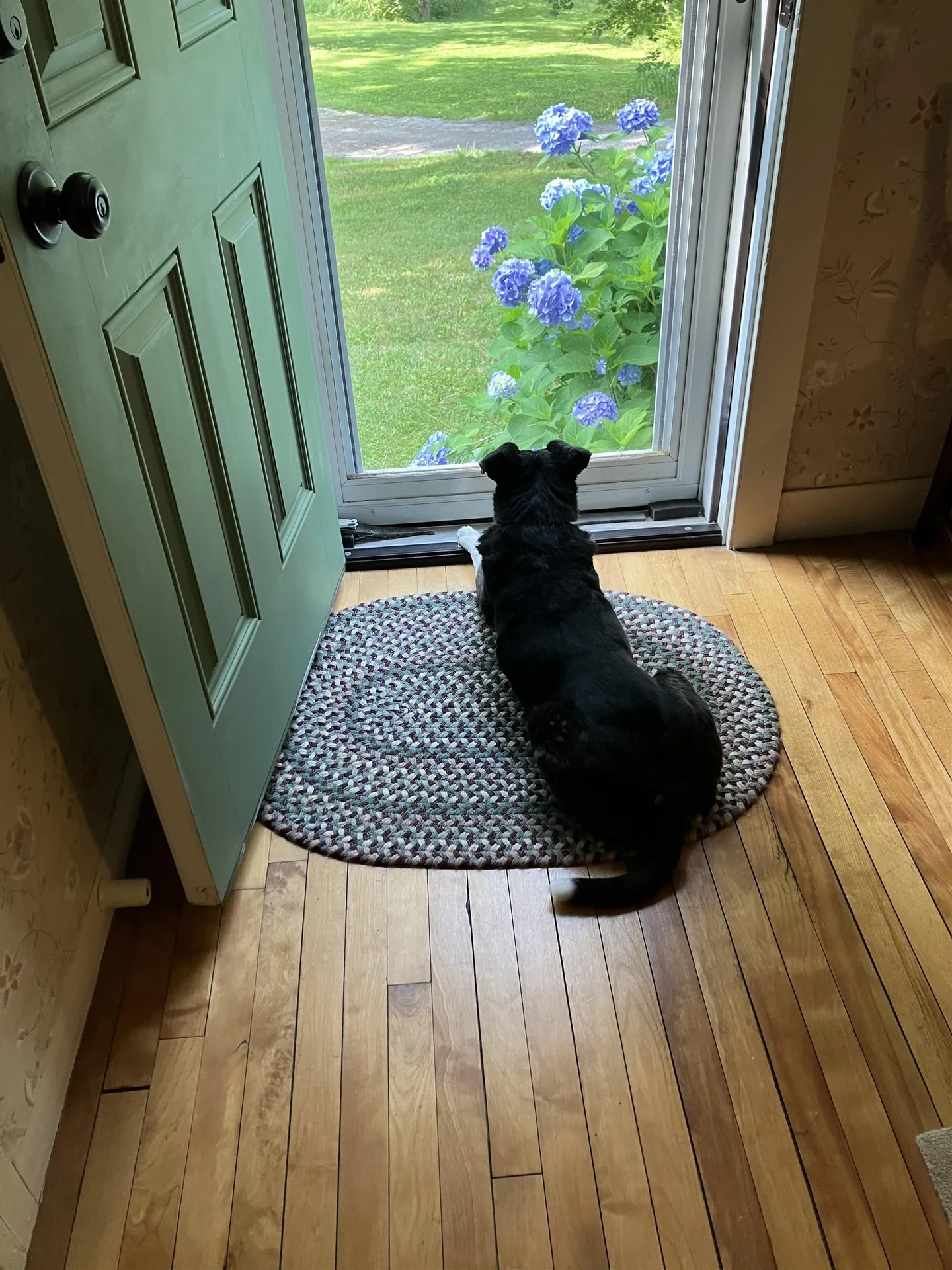 35 Stevens Road Cavendish VT 05142