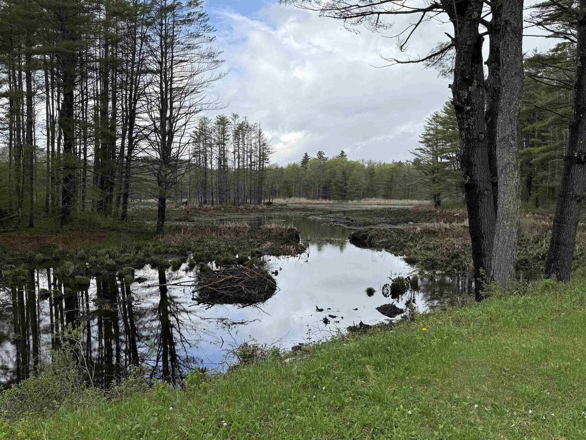 35 Stevens Road Cavendish VT 05142