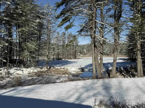 35 Stevens Road Cavendish VT 05142