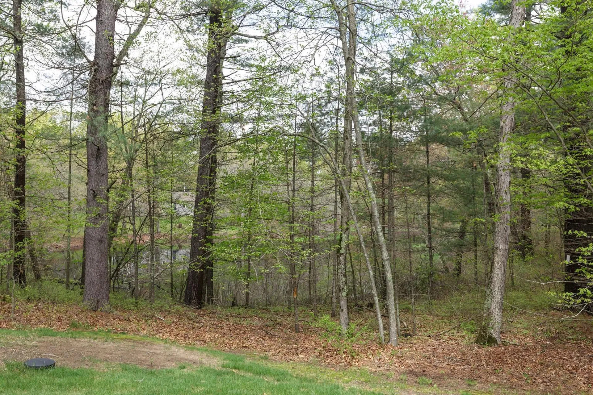 4 Muscovy Drive Litchfield NH 03052