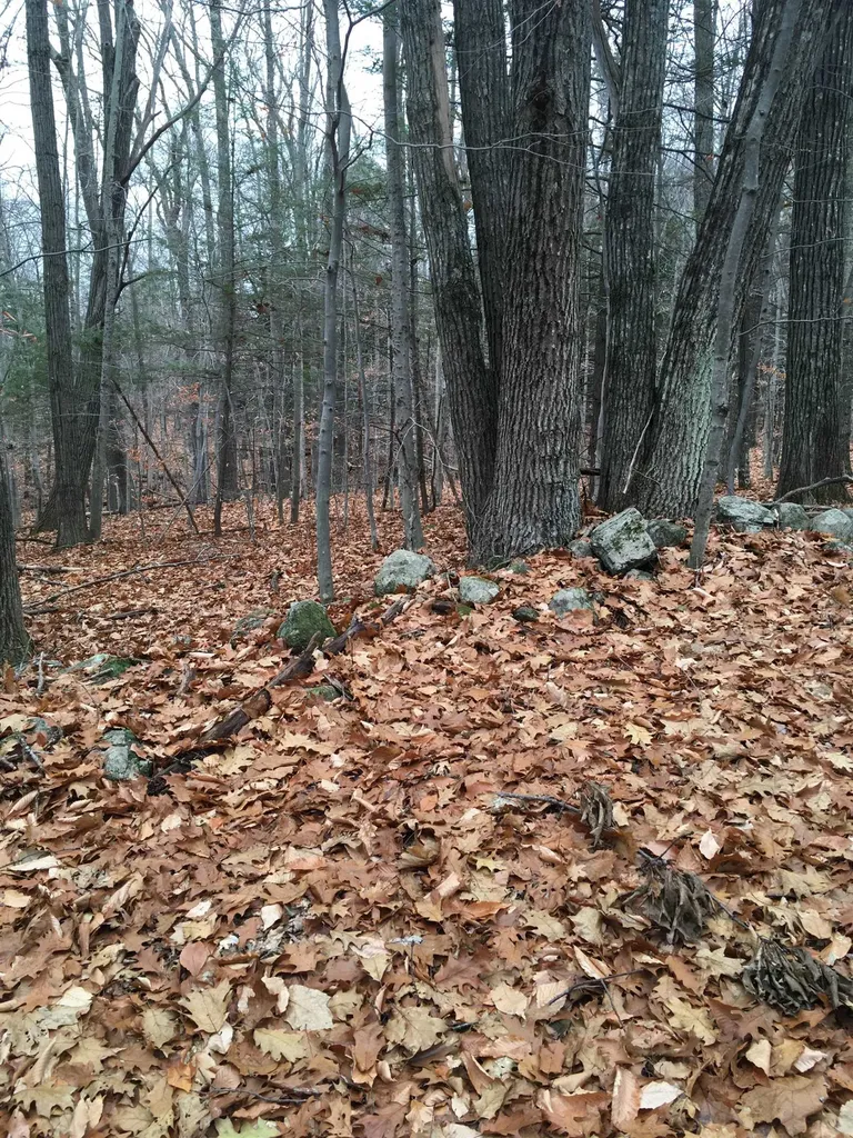 Lot 81 Plumer Hill Road Alexandria NH 03222