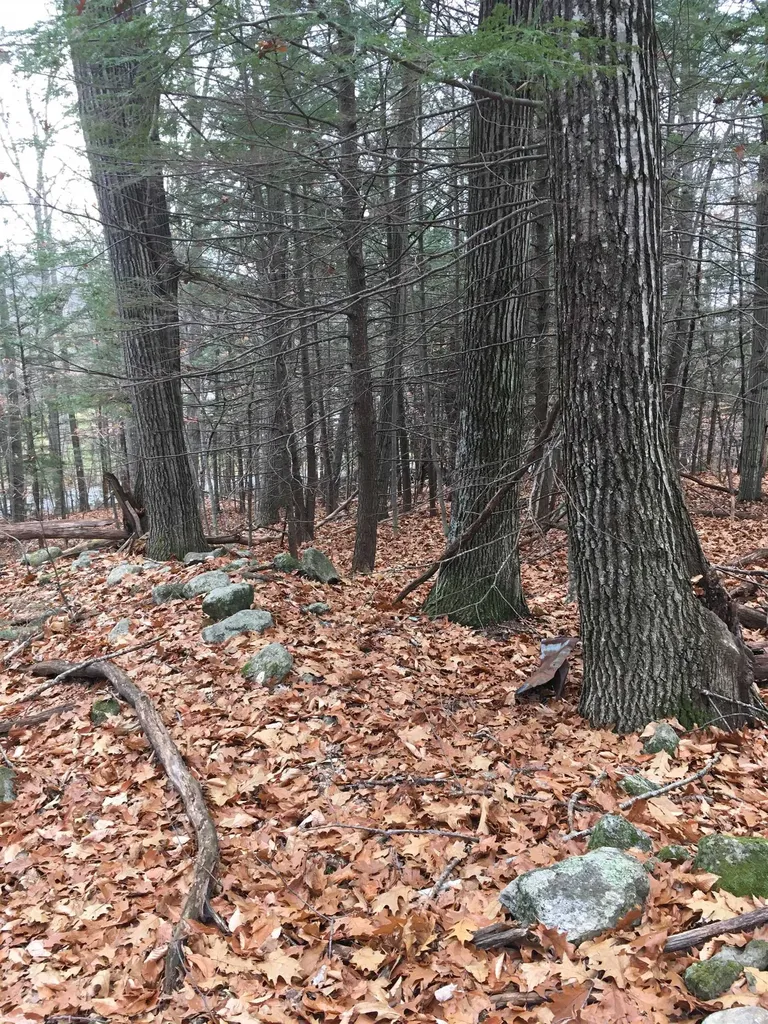 Lot 81 Plumer Hill Road Alexandria NH 03222