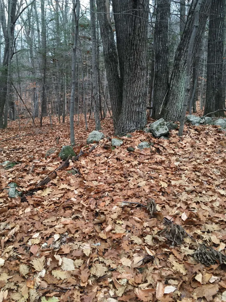 Lot 81 Plumer Hill Road Alexandria NH 03222