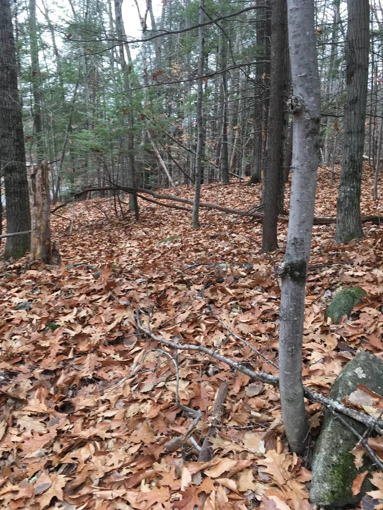 Lot 81 Plumer Hill Road Alexandria NH 03222